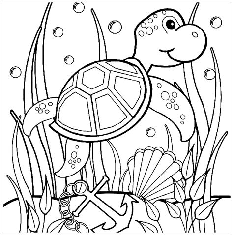 Turtle Images To Color Free Coloring Pages