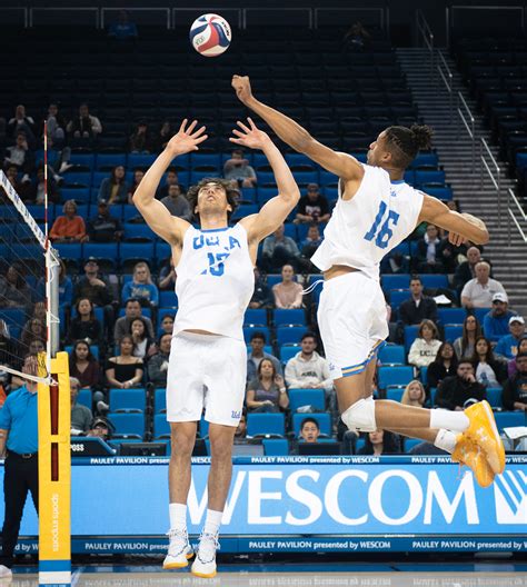 Mens Volleyball Prepares Bench For Performance Against Byu And