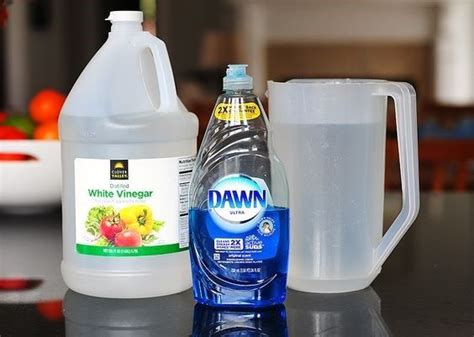 White Vinegar Dawn Dish Soap And A Pitcher Of Water Window Cleaner