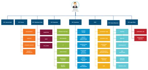 Organizational Chart Examples To Quickly Edit And Export In Many Formats