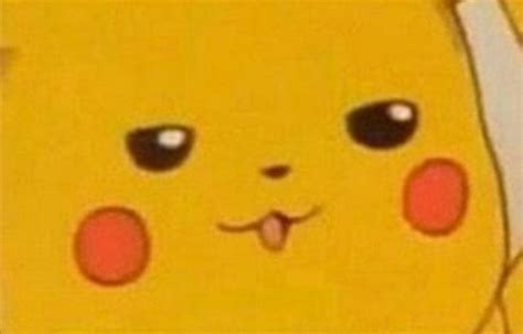 Pikachu Memes Pokemon Funny Pokemon Art Pokemon Fusion Cute Memes