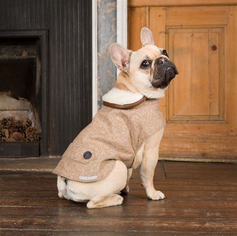 Designer Dog Clothes Doglopedix