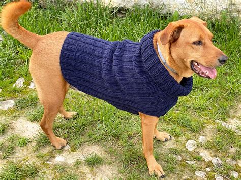 Knitted Dog Sweater Pattern 3 Sizes To Knit For Free Handy Little Me