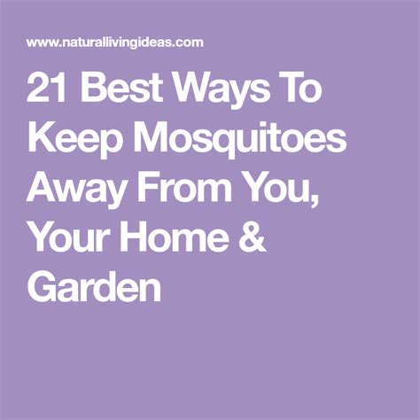 21 Best Ways To Keep Mosquitoes Away From You Your Home And Garden In