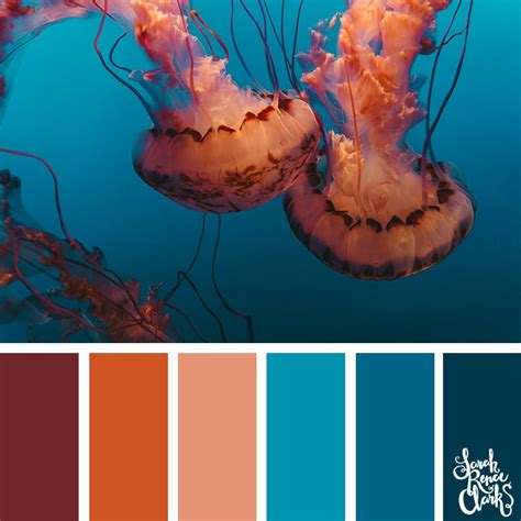 Ocean Life Color Inspiration Take A Dive Under The Sea With These