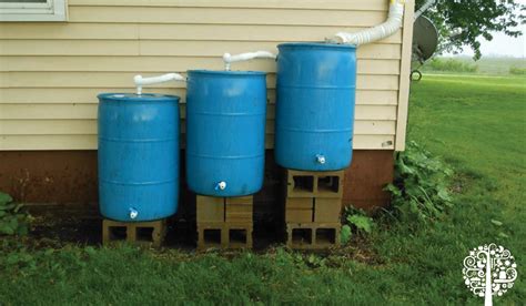 Build Your Own Rainwater Collecting System Garden Culture Magazine