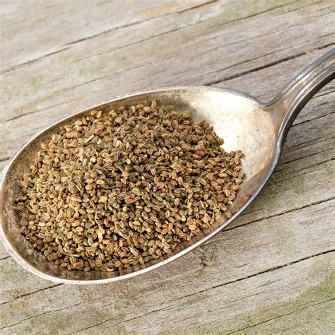 It is a small biennial herbaceous plant that originated in europe. Celery Seed | BlueStone Essentials