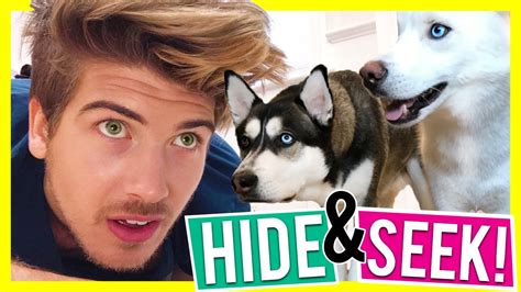 Playing Hide And Seek With My Dogs Youtube