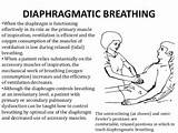 Photos of Abdominal Breathing Exercises