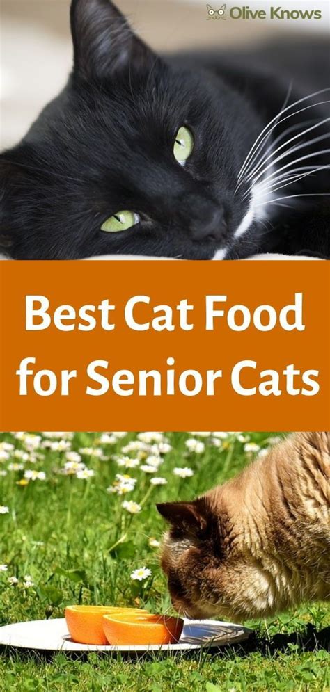This senior cat food formula from hill's science diet is one of the best cat foods for older cats available today, without a doubt. Best Cat Food for Senior Cats (Wet and Dry Food) | Katzen ...