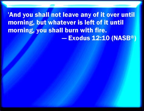 Exodus 1210 And You Shall Let Nothing Of It Remain Until The Morning