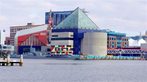 National Aquarium In Baltimore In Baltimore Maryland Expedia