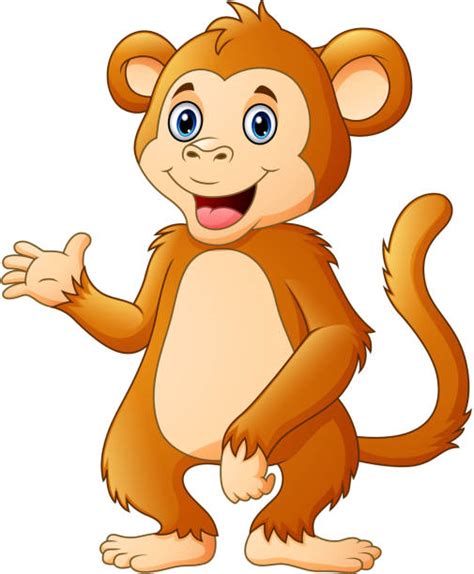Gibbon Ape Illustrations Royalty Free Vector Graphics And Clip Art Istock