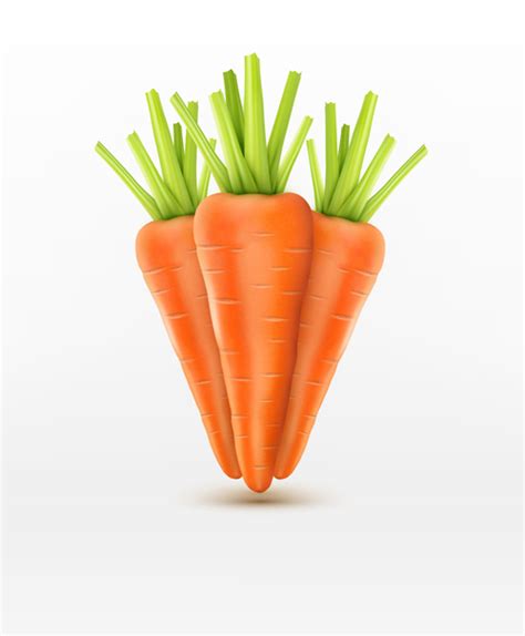 Collection 90 Pictures What Is A Carrot On A Computer Full Hd 2k 4k