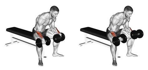 Dumbbell Reverse Wrist Curl Benefits Muscles Worked And More