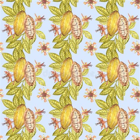 Check spelling or type a new query. Watercolor cacao pattern stock illustration. Illustration ...