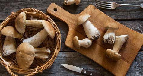 Best Mushrooms To Eat 7 Delicious Mushrooms For Longevity