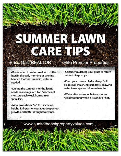 Summer Lawn Care Tips Lawn Care Pinterest