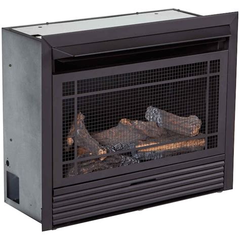 Duluth Forge 27 In W 26000 Btu Black Vent Free Dual Burner Gas Fireplace Insert And Remote In