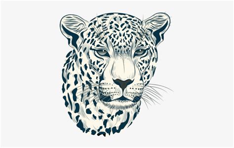 Big Cats Svg Clipart Vector Graphic Art Design Portrait Tiger Lion Svg