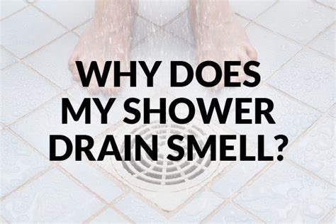 Why Does My Shower Drain Smell Bewley Plumbing