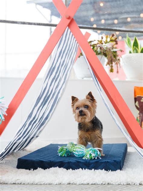 Have you got it yet. Perfectly Portable Pup Tent for Easy Summer Shade in 2020 ...