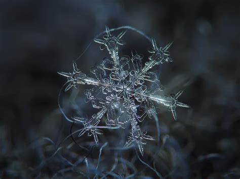 Macro Photography Of Snowflakes 13 Pics I Like To Waste My Time