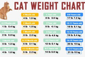 If your goal is your cat losing a pound, it might take a good 6 months, maybe. Easy Age, Height And Weight Charts For Men & Woman 2020