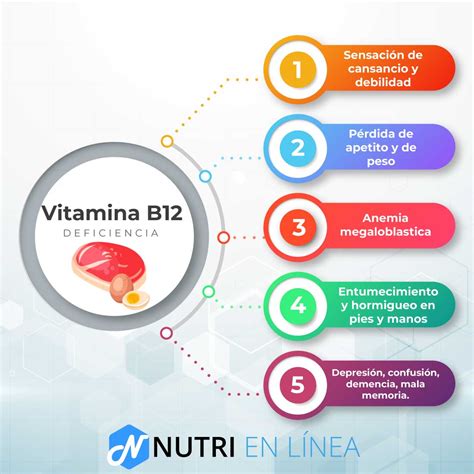 Vitamina B12 ¿para Que Sirve ¿qué Es Lista De Alimentos Que La