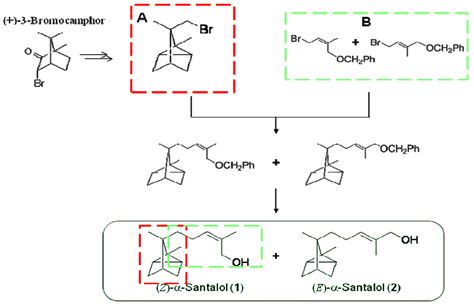 Molecules Free Full Text Structure Odor Relationships Of α­santalol