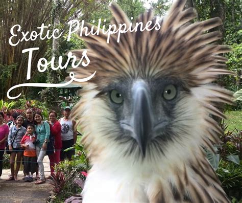 Introducing A New Feature Of Exotic Philippines Blog Exotic Philippines