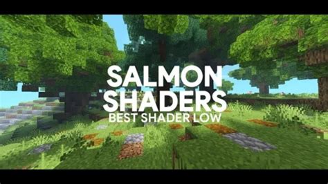 Salmon Shader Low Shader Minecraft 117 118 Youtube