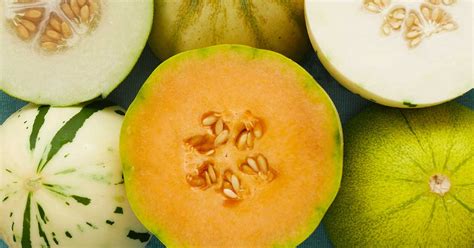 33 Of The Best Melon Varieties Gardeners Path