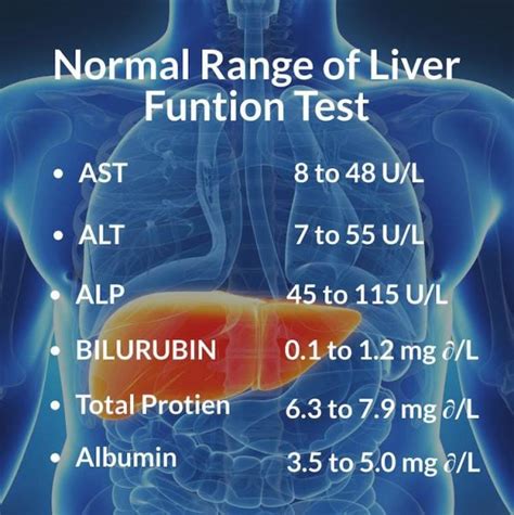 Liver Function Test Normal Range Chart