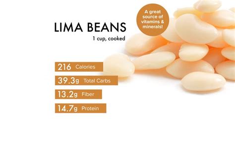 Lima Beans Nutrition Benefits Calories Warnings And Recipes Livestrong