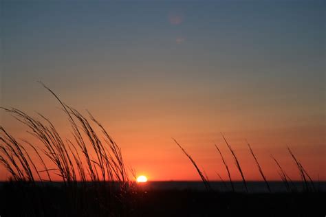 Free Images Iphone Horizon Silhouette Light Sun Sunrise Sunset