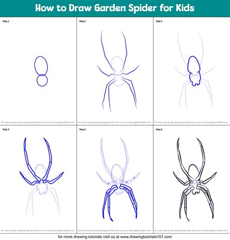 Easy How To Draw A Spider How To Draw A Spider Easy Step By Step