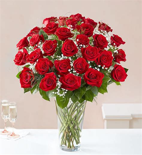 Luxury Rose Bouquet 36 Roses 3 Dozen Main Florist