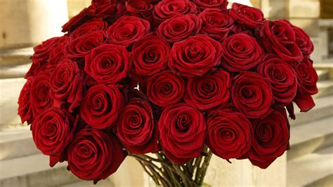 Find valentine pictures and valentine photos on desktop nexus. Valentine's Day Romantic Red Roses HD Wallpapers Free