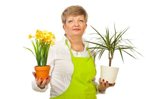 mature business woman give handshake stock image image of attractive occupation 18232967