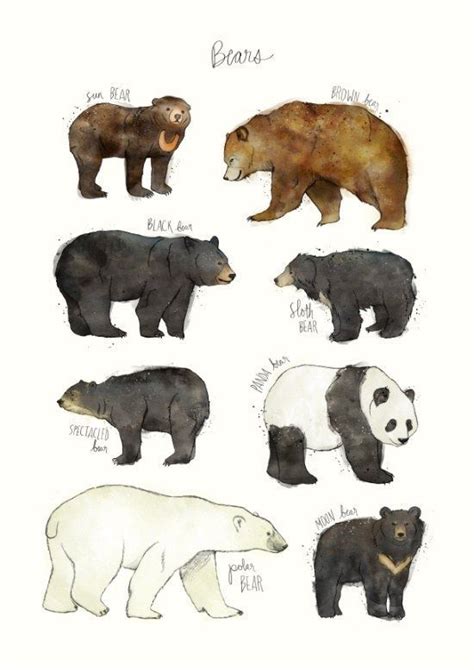 Art And Illustration Illustrations Posters Polar Bear Illustration