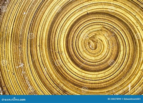 Abstract Wood Spiral Stock Image Image Of Growth Crop 23027899