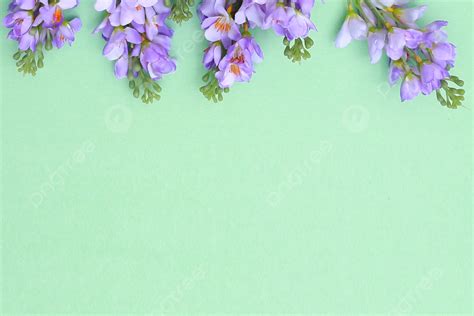 Background Foto Ilustrasi Latar Belakang Perbatasan Minimalis Bunga