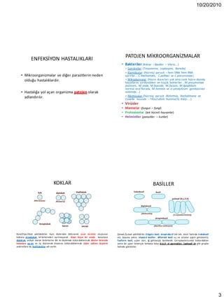 Mikrobio Tan Ve Tedavi Pdf