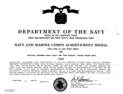 Navy Award Examples