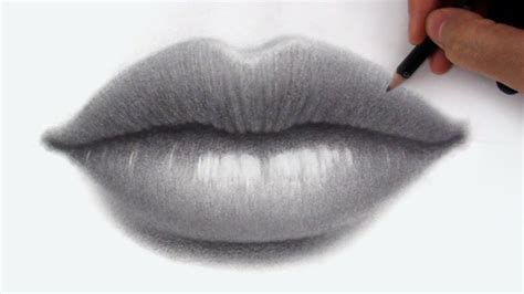 Draw Realistic Lips Draw Space