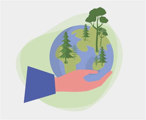 Bosques Sostenibles El Modelo Forestal Que Salvará El Planeta Está