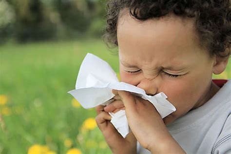 Allergies In Children Xtract Solutions
