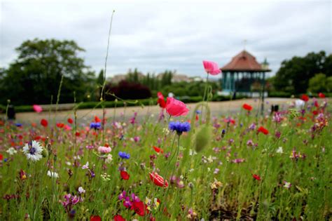 Surprise your loved ones with gifts in united kingdom. The Best Of Forest Hill In Photos | Londonist