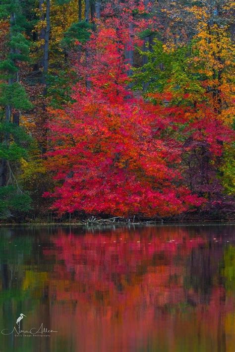 Autumn Reflections Nora Allen Flickr